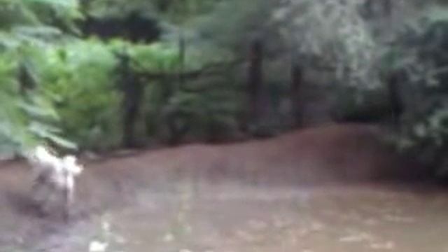 натаска лаек по кабану смотреть онлайн