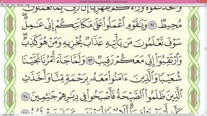 Шейх Айман Сувейд сура Худ стр 232