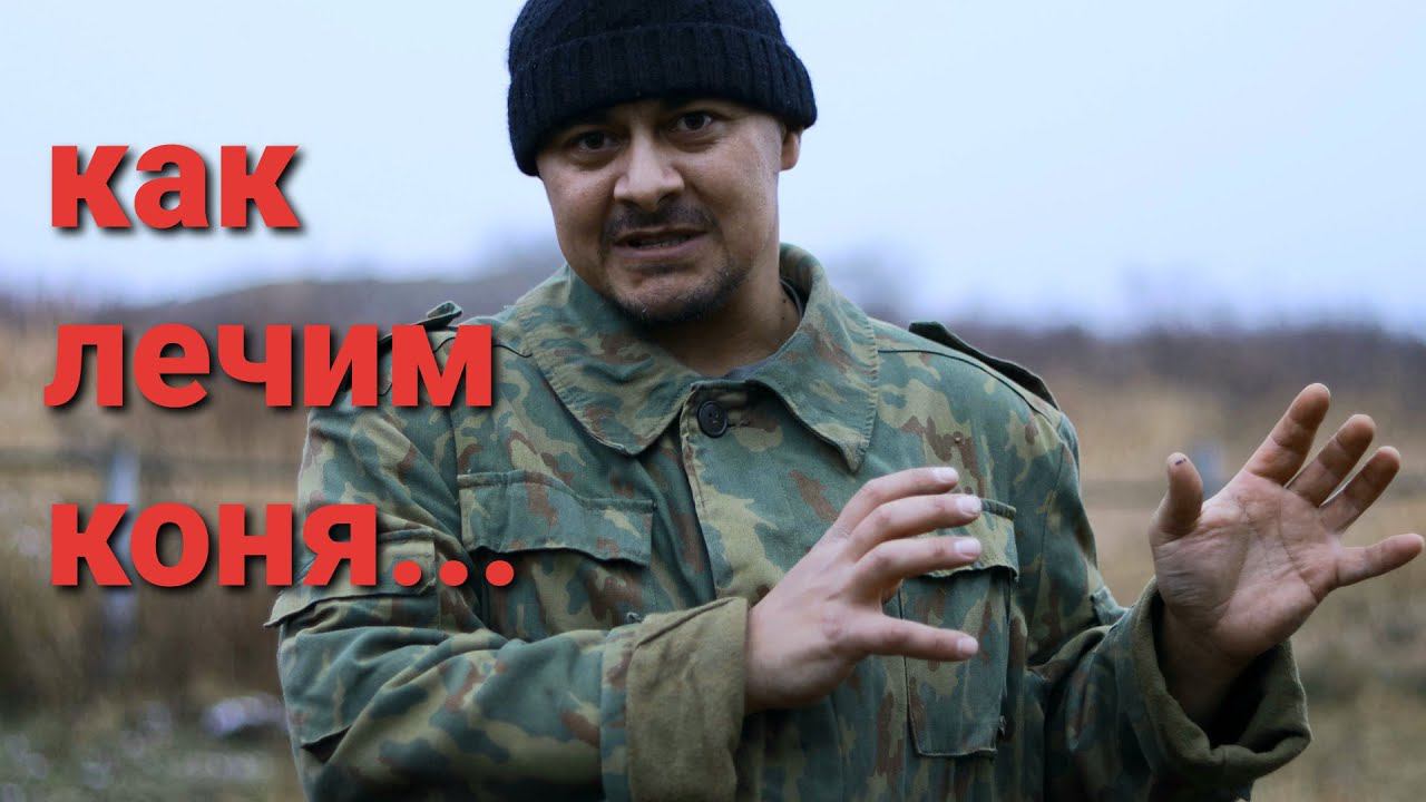 КАК ЛЕЧИМ НОГИ КОНЯ смотреть онлайн