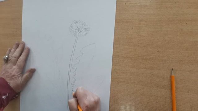 Мастер-класс из цикла «Учусь рисовать» смотреть онлайн