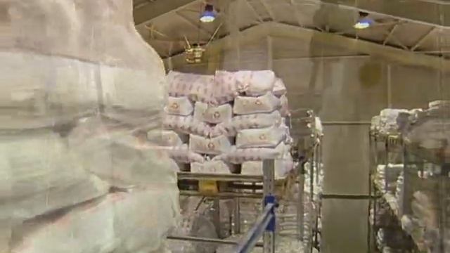 TRUMF:Складирование специи.swf