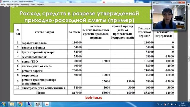 Ревизия в СНТ