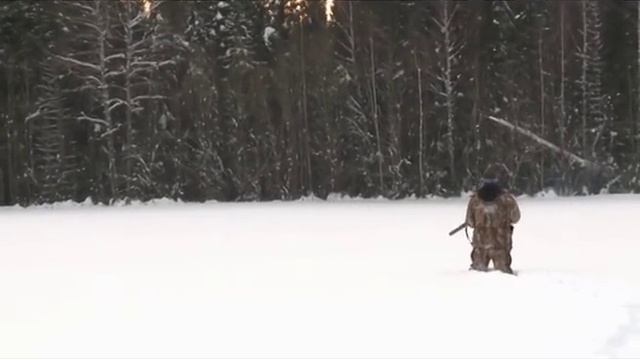 Тетерев на лунках, охота смотреть онлайн