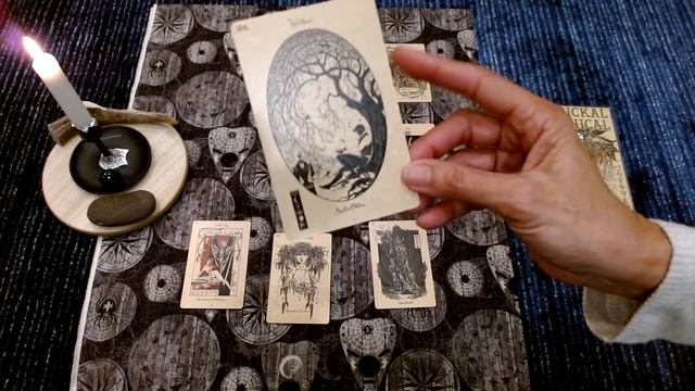 Working with the Magickal Botanical Oracle - "Faery 7 Star Spread" смотреть онлайн