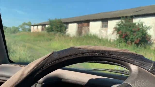 Дубовые веники. Бизнес на вениках для бани. Отправка дубовых веников смотреть онлайн