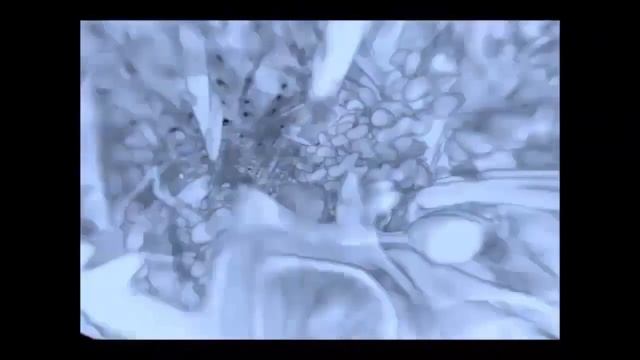 БЕЛЫЙ СКАРАБЕЙ - Чемпион по белизне смотреть онлайн