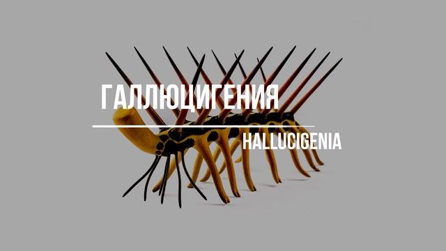 10 Животных-Гигантов, которые жили до динозавров. смотреть онлайн