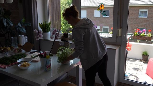 Влог, сыр с плесенью пропал, средство против слизней на даче, Алёна затеяла уборку смотреть онлайн