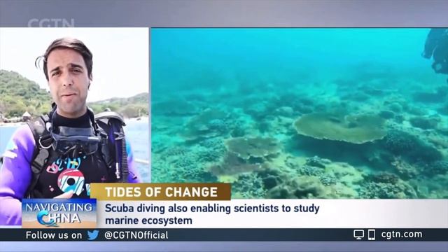 Tides of Change: CGTN special program looks at coral protection in Sanya смотреть онлайн