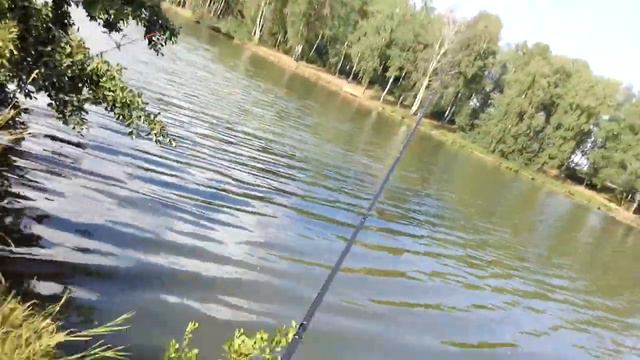 №2 Кастетмакенли. Часть 2. Русская рыбалка на карпа от КастетМакенли смотреть онлайн