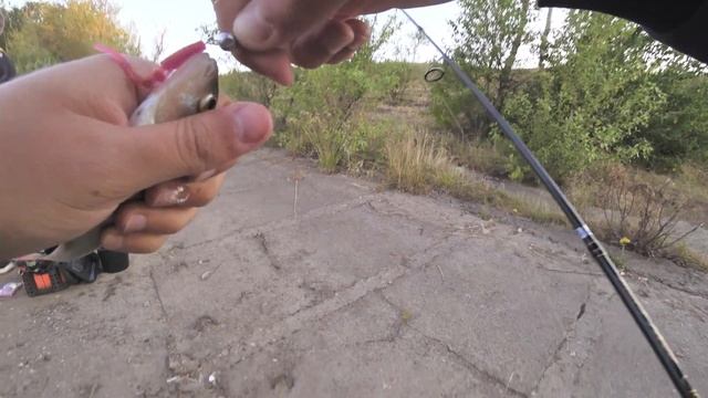 Снова в призах с Ловим тут! В Череповце. StreetFishing