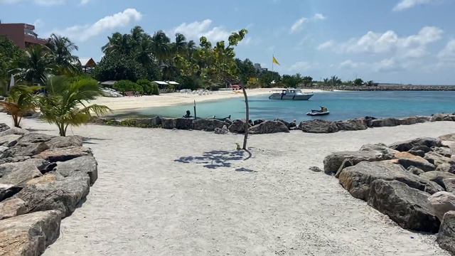 Мальдивы. Остров Маафуши. смотреть онлайн