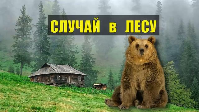 МЕДВЕДЬ спас ОХОТНИКА СЛУЧАЙ в ЛЕСУ ВСТРЕЧА с МЕДВЕДЕМ ВЫЖИВАНИЕ СУДЬБА ИСТОРИИ из ЖИЗНИ СЕРИАЛ смотреть онлайн