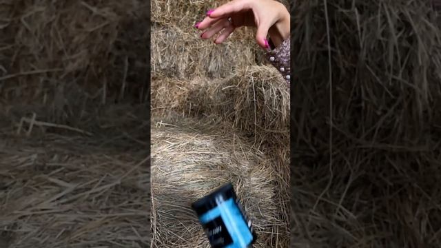 Паста для шугаринга RIABINOVA COSMETICS Premium смотреть онлайн