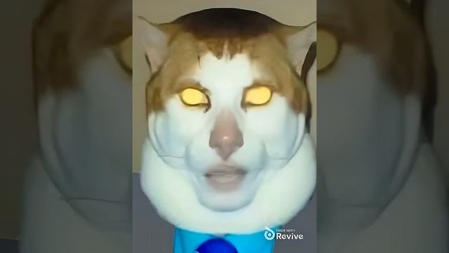 Monday left me broken cat (4k enhanced) смотреть онлайн
