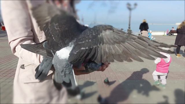 Утро 8 марта 2017