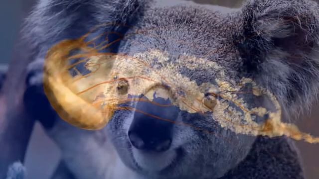 ПРИРОДА-ЭТО ЧУДО смотреть онлайн