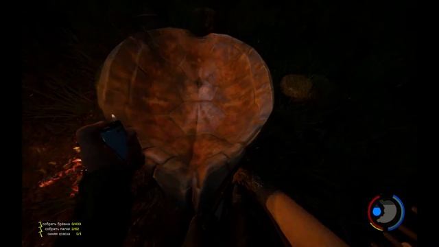 THE FOREST. ПОЗНАВАТЕЛЬНОЕ ВИДЕО ))) смотреть онлайн