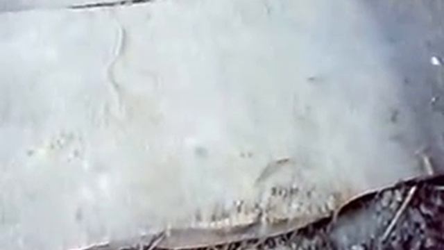 .как утеплялись предки.разборка старого дома.часть 1. смотреть онлайн