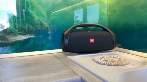 JBL Boombox ND 2.9.0 Прошивка-ПРОВАЛ!!!