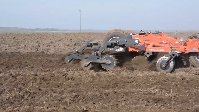 Предпосевная обработка почвы AXION 950 + NORMANDIE 8м