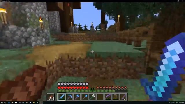 Minecraft : Beginners Guide 2019, PC (Java, 1.14.3)