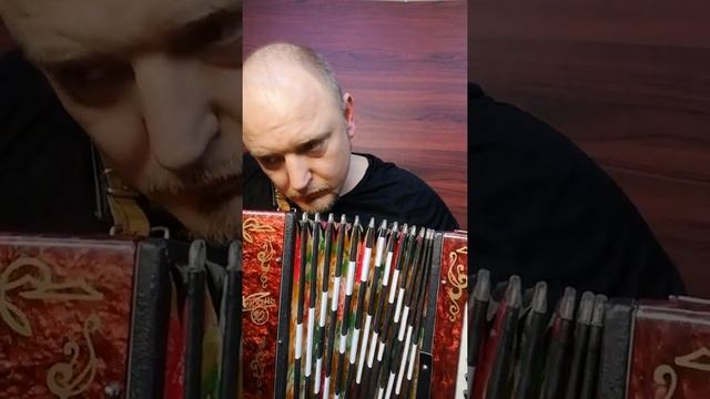 Одинокая ветка сирени! гармонь Кубань! смотреть онлайн