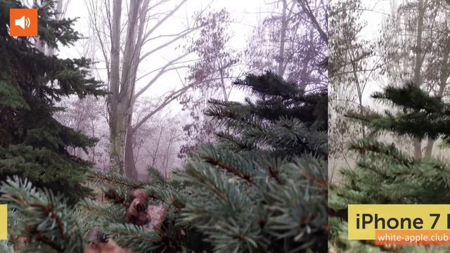 Xiaomi Mi Note 3 vs iPhone 7 Plus 4K - сравнение камер (camera test) смотреть онлайн