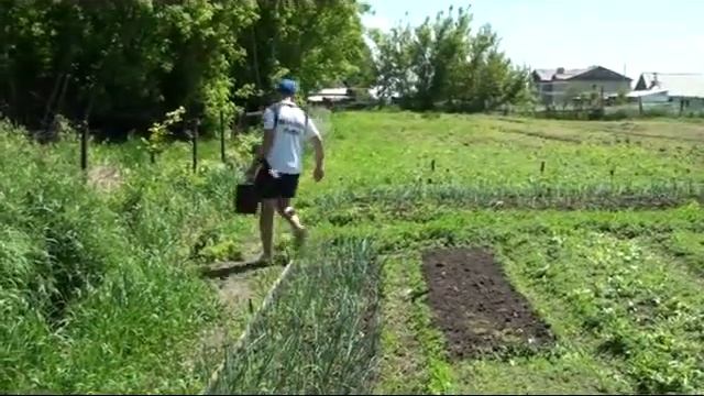 Сюжет о жизни в центре психологической коррекции ''Альфа'' смотреть онлайн