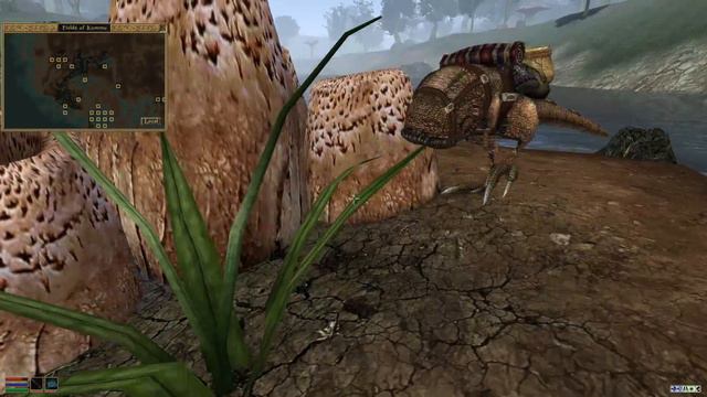 Let's Play Morrowind | Chapter 14 | Wet and Muddy смотреть онлайн