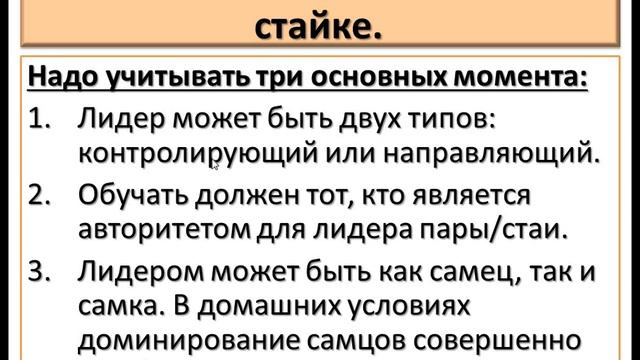 Обучение попугаев команде "В клетку!". Часть 2. смотреть онлайн