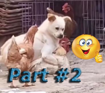 NEW Смешные моменты Part #2 #funny #funnyvideo #humor
