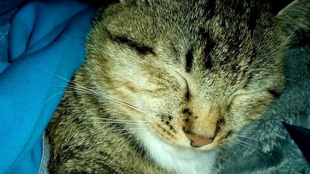 Якуб колас зима смотреть онлайн