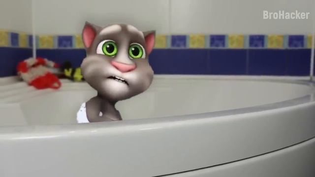 My Talking Tom in Real Life [Part 5] - Real Cat Compilation смотреть онлайн