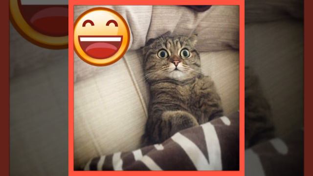 МФО,Украина."жесть") из профита. смотреть онлайн