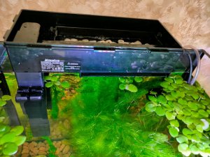 Дождались! Лучший фильтр для аквариума Atman Q7-L