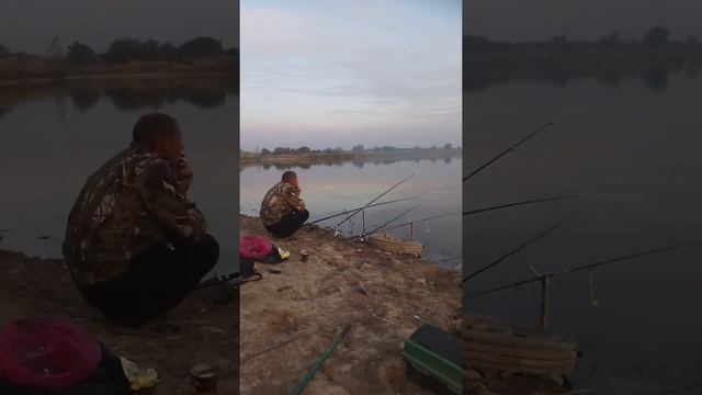 Станица Новолокинская, рыбалка смотреть онлайн