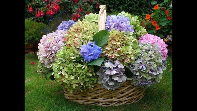 Вместо тысячи слов... смотреть онлайн