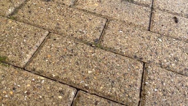 Karcher T 5 Racer patio Surface cleaner, Tool Or Toy! Lets Put It To The Test. смотреть онлайн