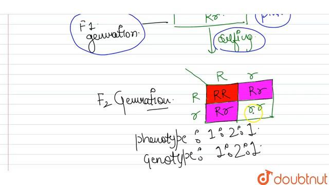 In Snapdragon, a cross between true-breeding red flowered (RR) plants and true -breeding смотреть онлайн
