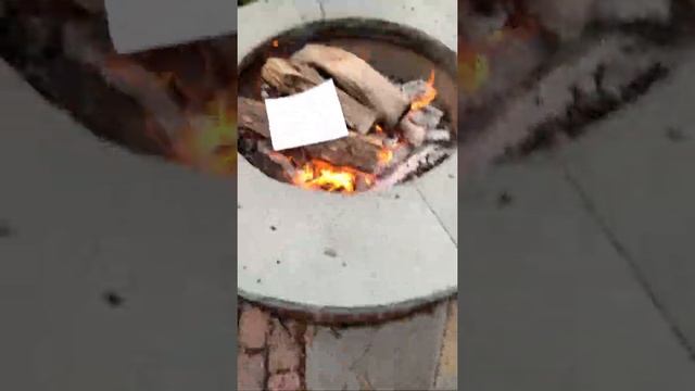 Killing Chibi Robo: Zip Lash by throwing it into a fireplace смотреть онлайн