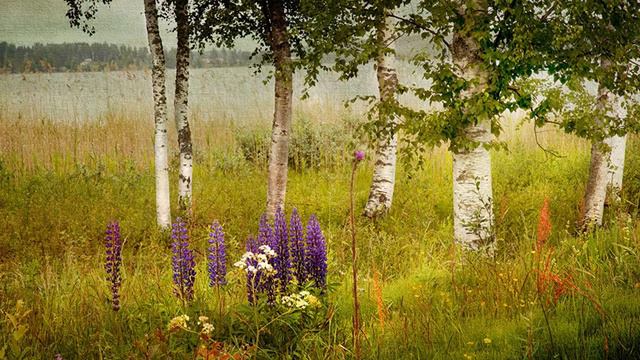 Трава смотреть онлайн