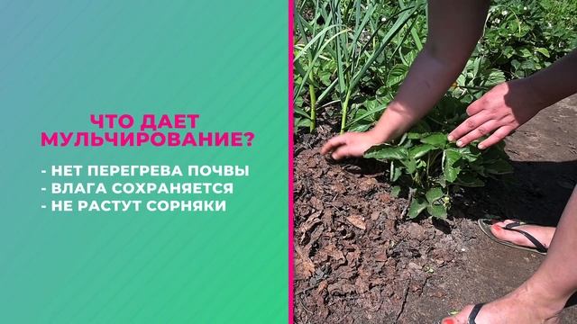 Грабли-блог №2 смотреть онлайн