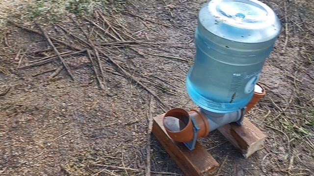 Поилка для домашней птицы.