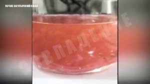 Мясо, выращиваемое в лаборатории по проекту Билла Гейтса, больше напоминает корм для животных