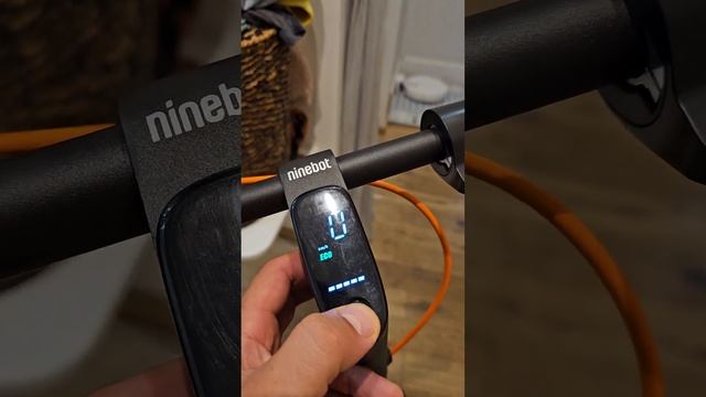 Ninebot f40 смотреть онлайн
