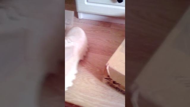 Берцы летние Varan пустыня