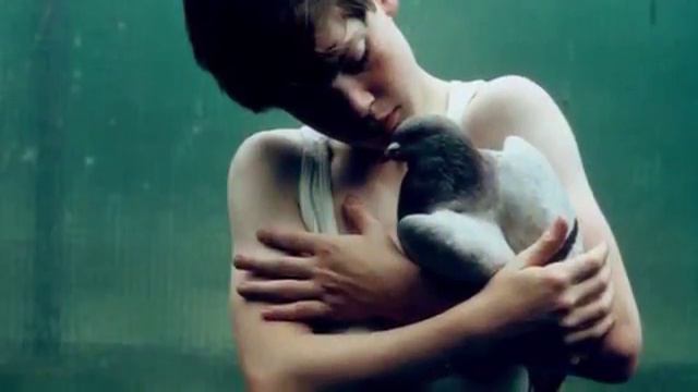 Лучшие видео 5 ДЕТЕЙ которых воспитали ЖИВОТНЫЕ Интересные факты1 смотреть онлайн