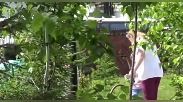 Моя безопасность в моих руках/ правила поведения с незнакомцами смотреть онлайн