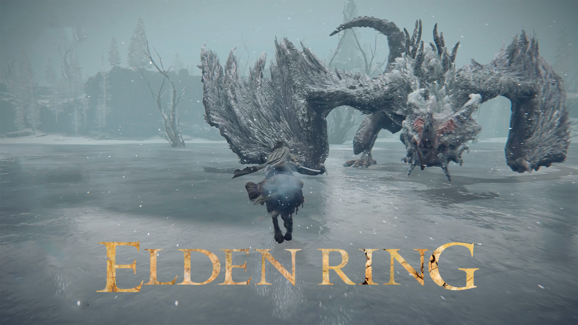 ИДУ НА КОРМ ДРАКОНУ ► : ELDEN RING #39 смотреть онлайн